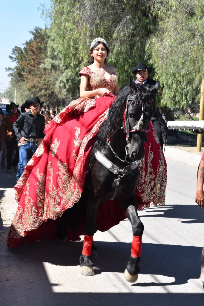 nikon d5600 (1879) new